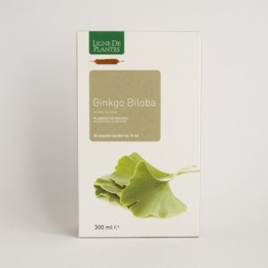 Ginko Biloba Integratore Alimentare