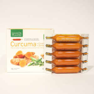 Curcuma - Integratore Alimentare con Cicoria e Zenzero - Linea Ligne De Plantes Natura Service srl | Erboristeria Frate Vento